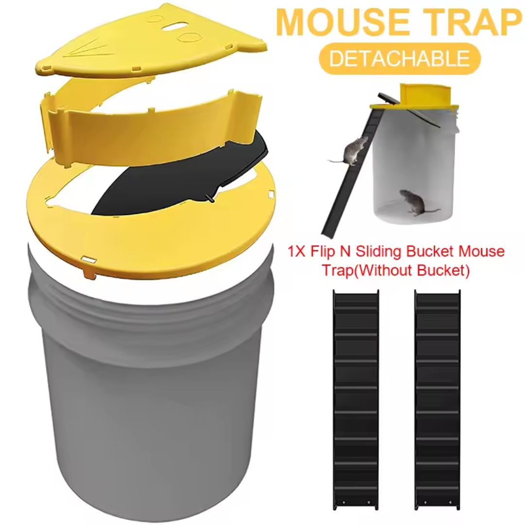 Humane Rodent Traps