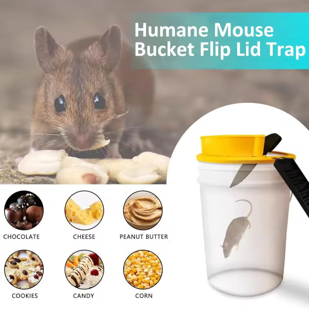 Humane Rodent Traps