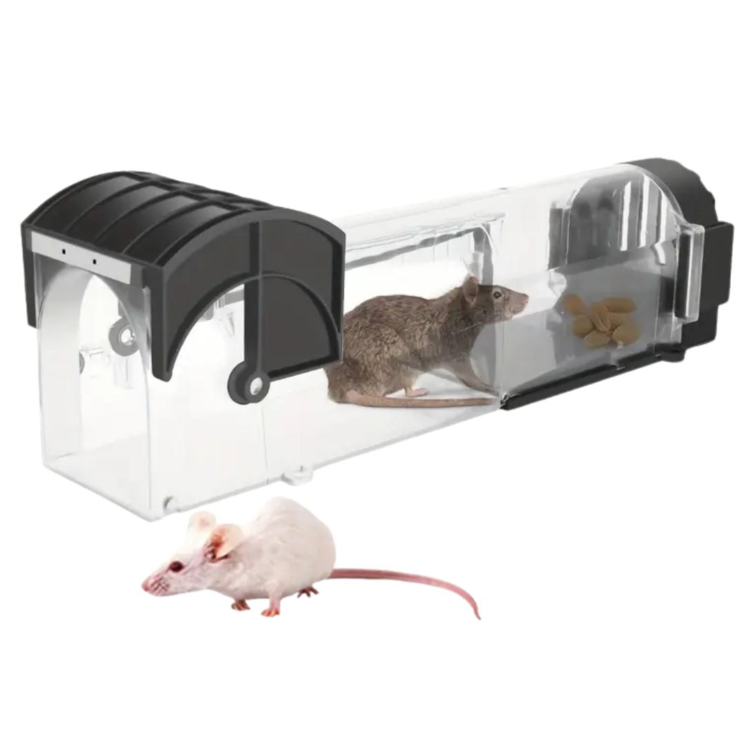 Humane Rodent Traps