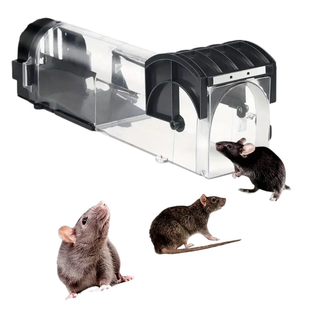 Humane Rat Traps